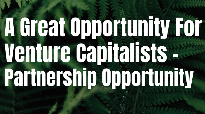 Lace Material Manufacturing Venture in Nigeria