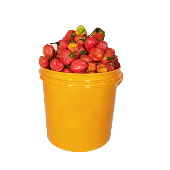 Pepper Bucket