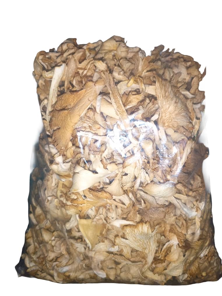 1kg Dry oyester MUSHROOM