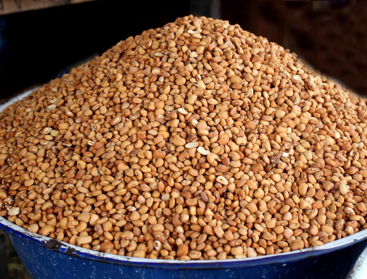 Brown beans 