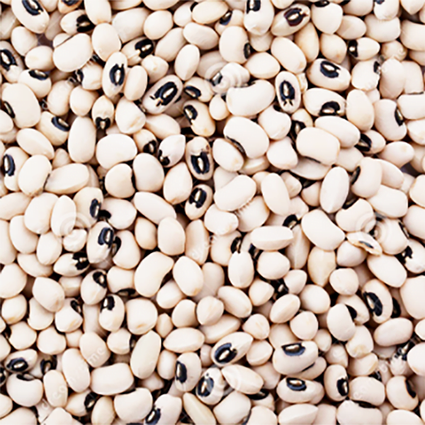 White beans 