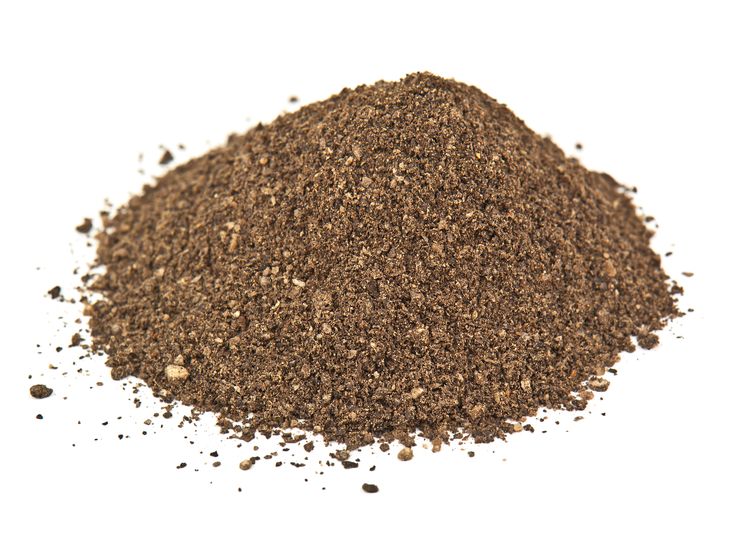 Black pepper 