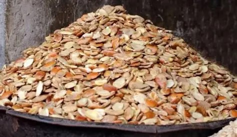 Ogbono Seeds Wholesale Pack (Bulk Wild Mango Supply)
