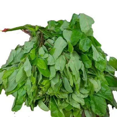 Fresh Oha Leaves (Ora Leaves – Washed & Ready)