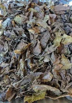 Dried Oha Leaves (Ora Leaves – Long Shelf Life)