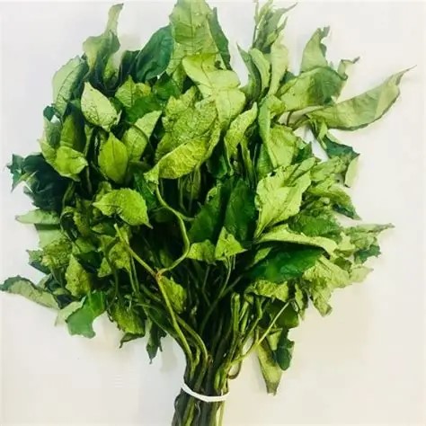 Fresh Ugu Leaves (Fluted Pumpkin Leaves – Washed & Ready)