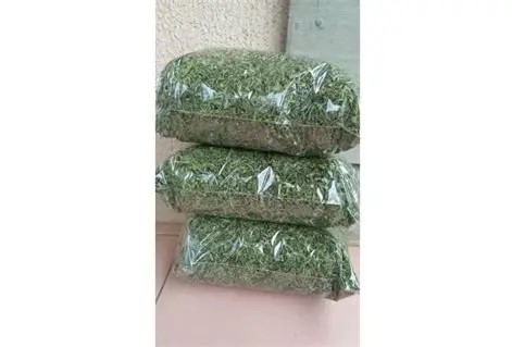 Bitter Leaf Wholesale Pack (Bulk Onugbu Supply)