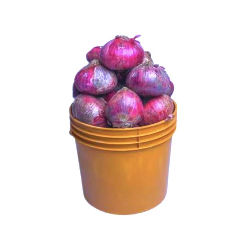 Onions bucket of Onions